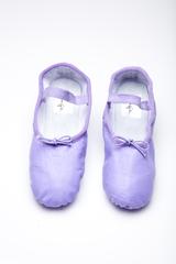 Purple Ballet Shoe